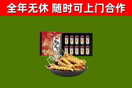 嘉峪关市回收冬虫夏草价格